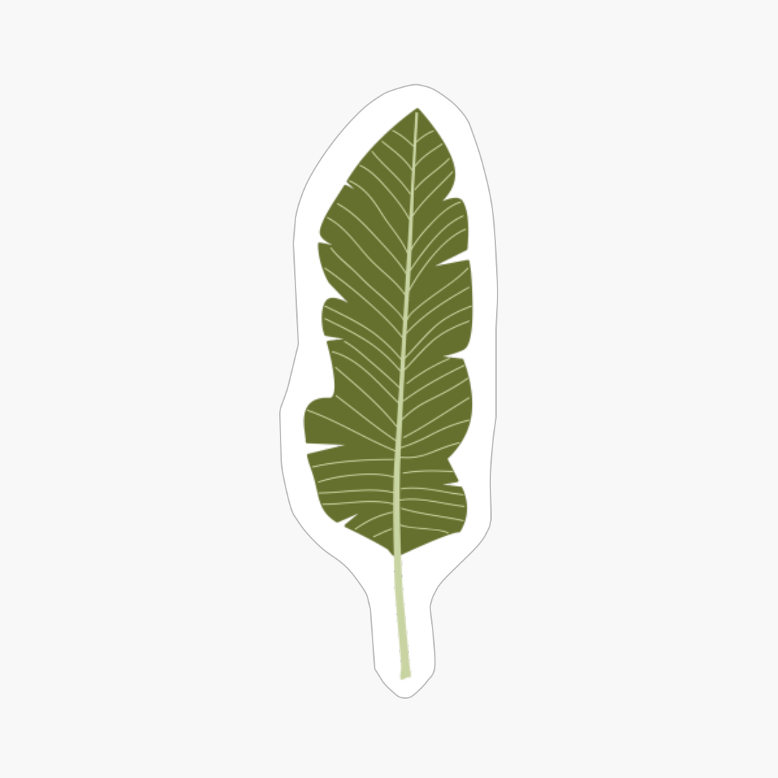 Leaf Leaves