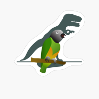 T-Rex Senegal Parrot Dinosaur Parrot Funny Birb Memes Gift