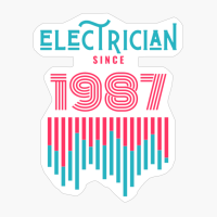 Electrician Since 1987