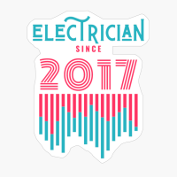 Electrician Since 2017