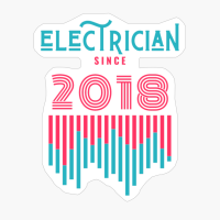 Electrician Since 2018