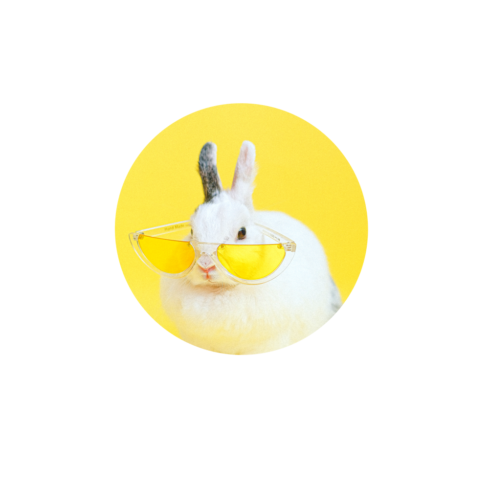 Bunny Stickers for Sale - Pixeluma