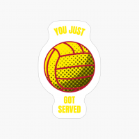 You Just Got Served Funny Volleyball Sports