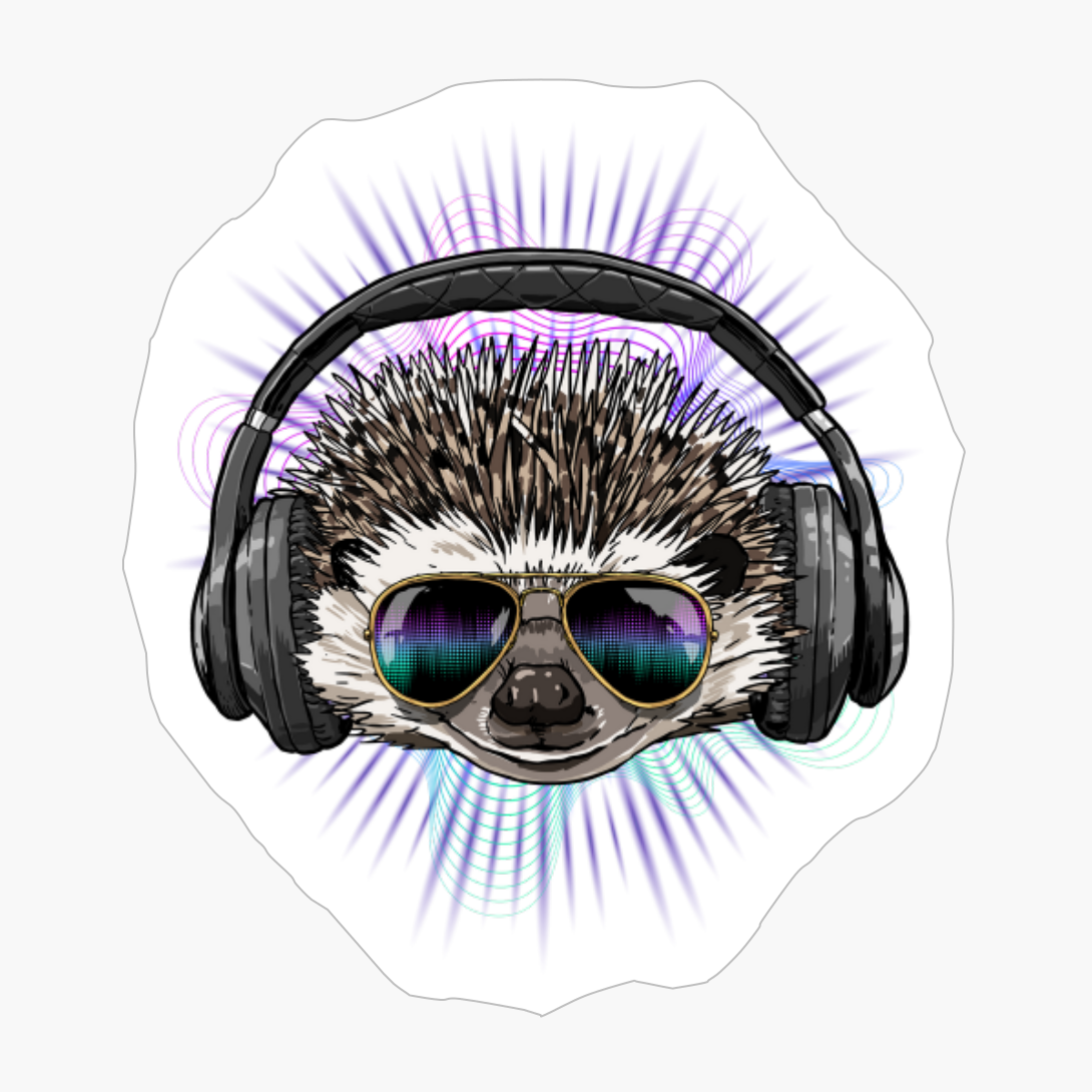 Music Hedgehog DJ With Headphones Musical Hedgehog Lovers