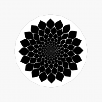 Black Flower Mandala