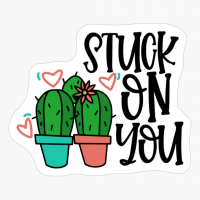 Cute Romantic Cactus Quote