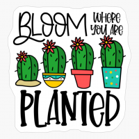 Cute Cactus Gift For Succulent Lover