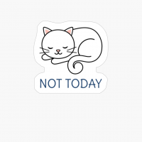 Not Today - Sleeping Cat