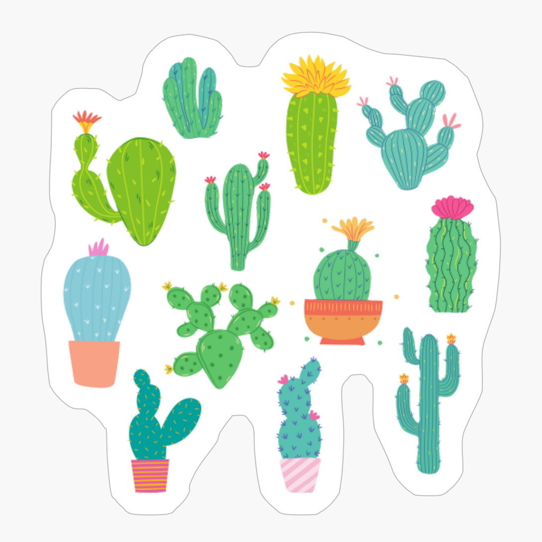 Cactus Party