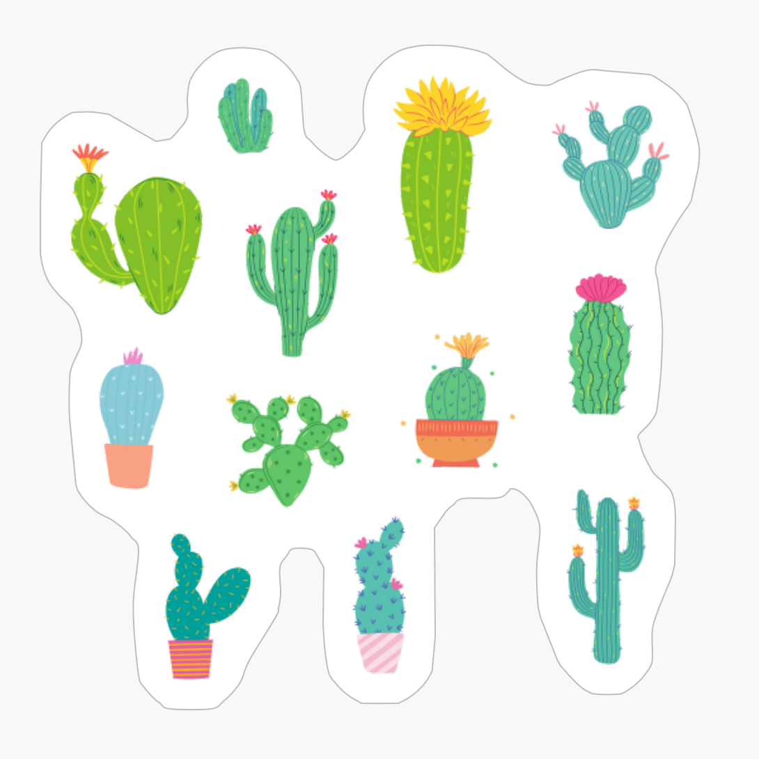 Cacti Party