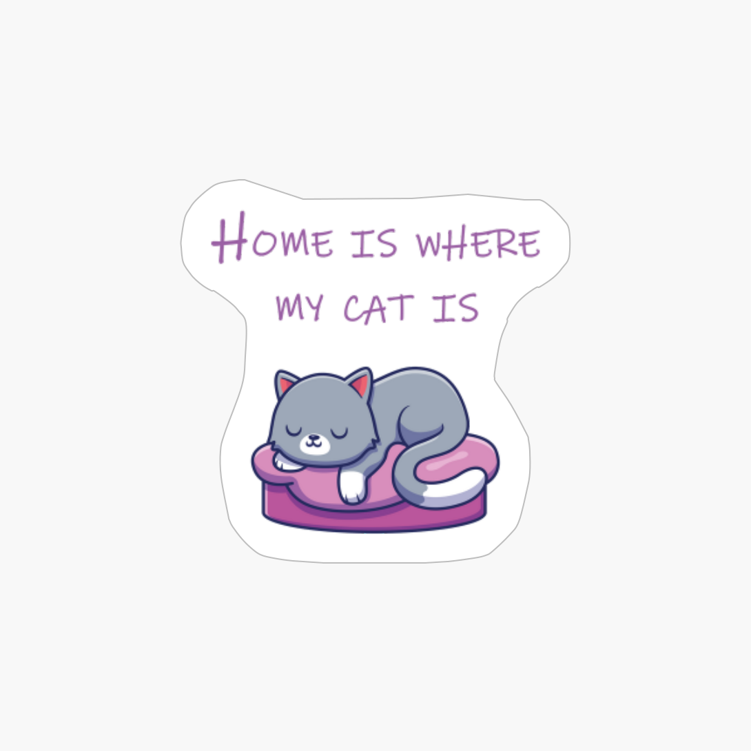 Home Is Where My Cat Is