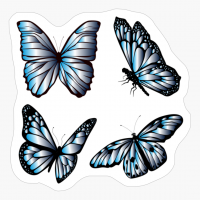 Blue Monarch Butterfly, Blue Monarch Butterflies