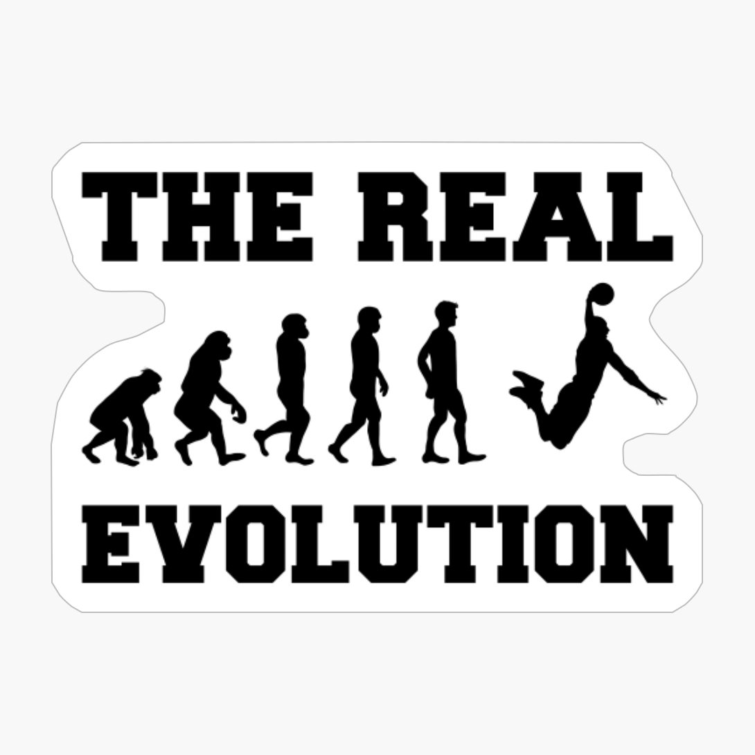 The Real Evolution - Christmas Gift For A Basketball Player!