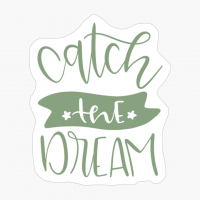 Catch The Dream