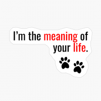 I'm The Meaning Of Your Life