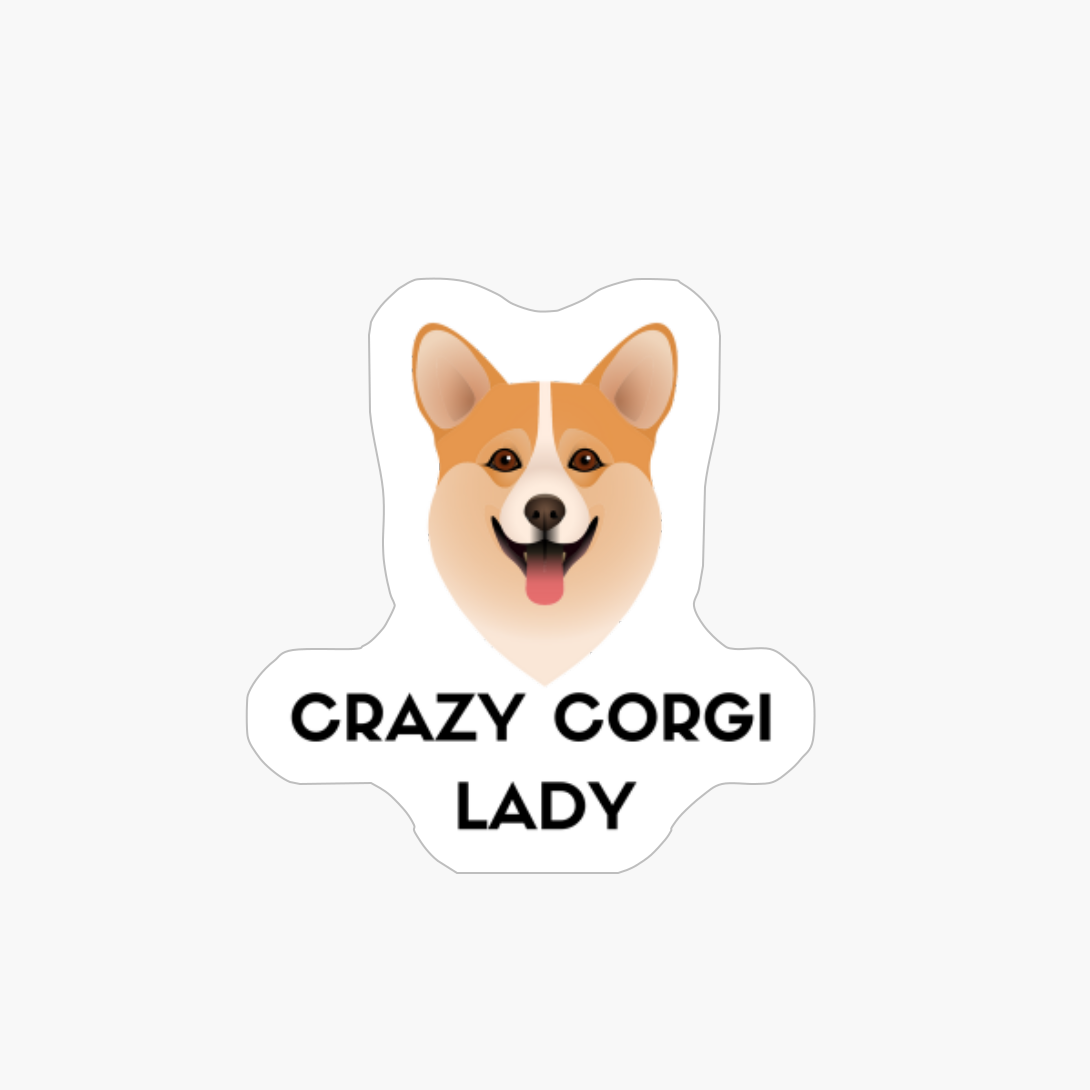 Funny Cute Corgi Dog