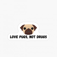 Pugs Not Drugs Funny Dog