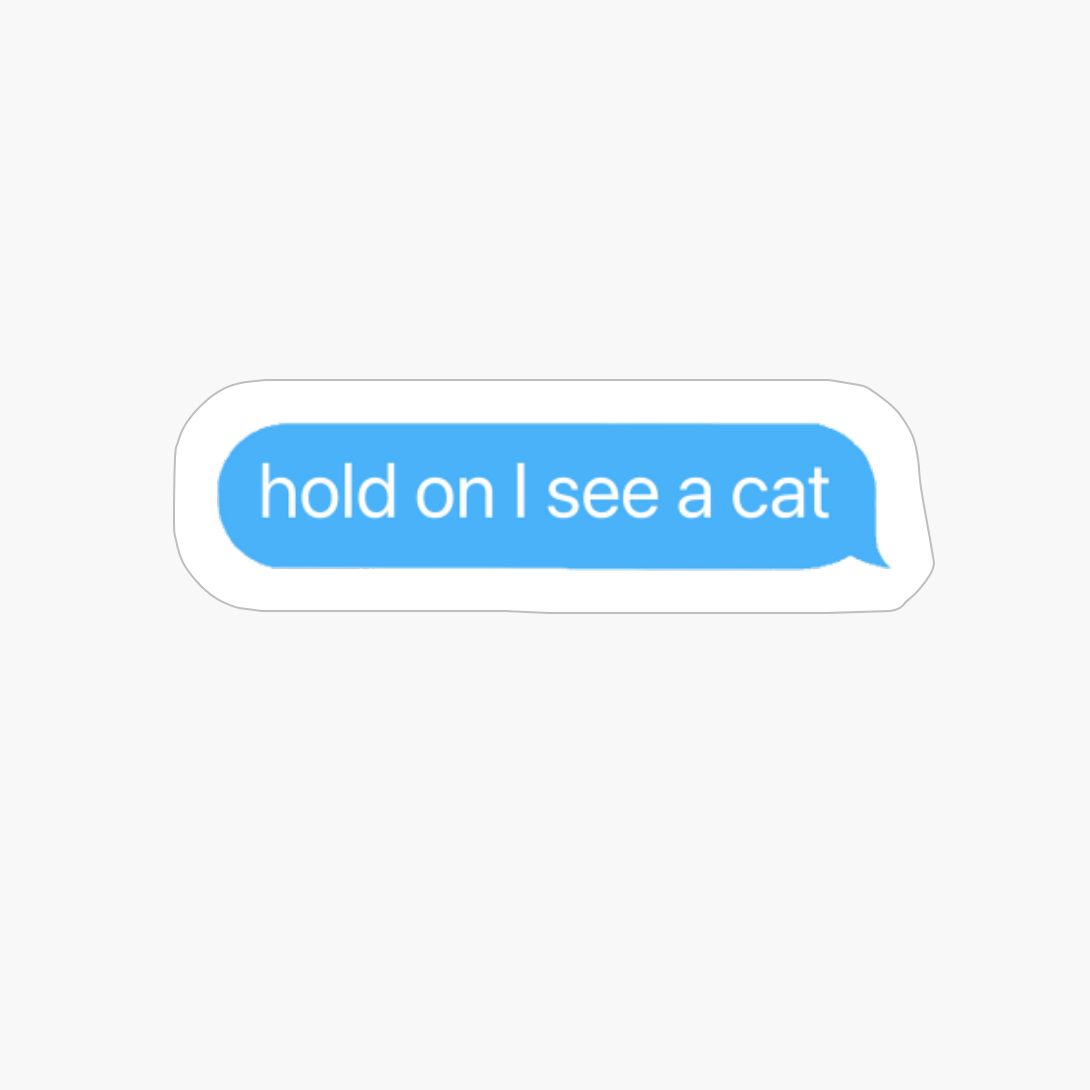 Hold On I See A Cat
