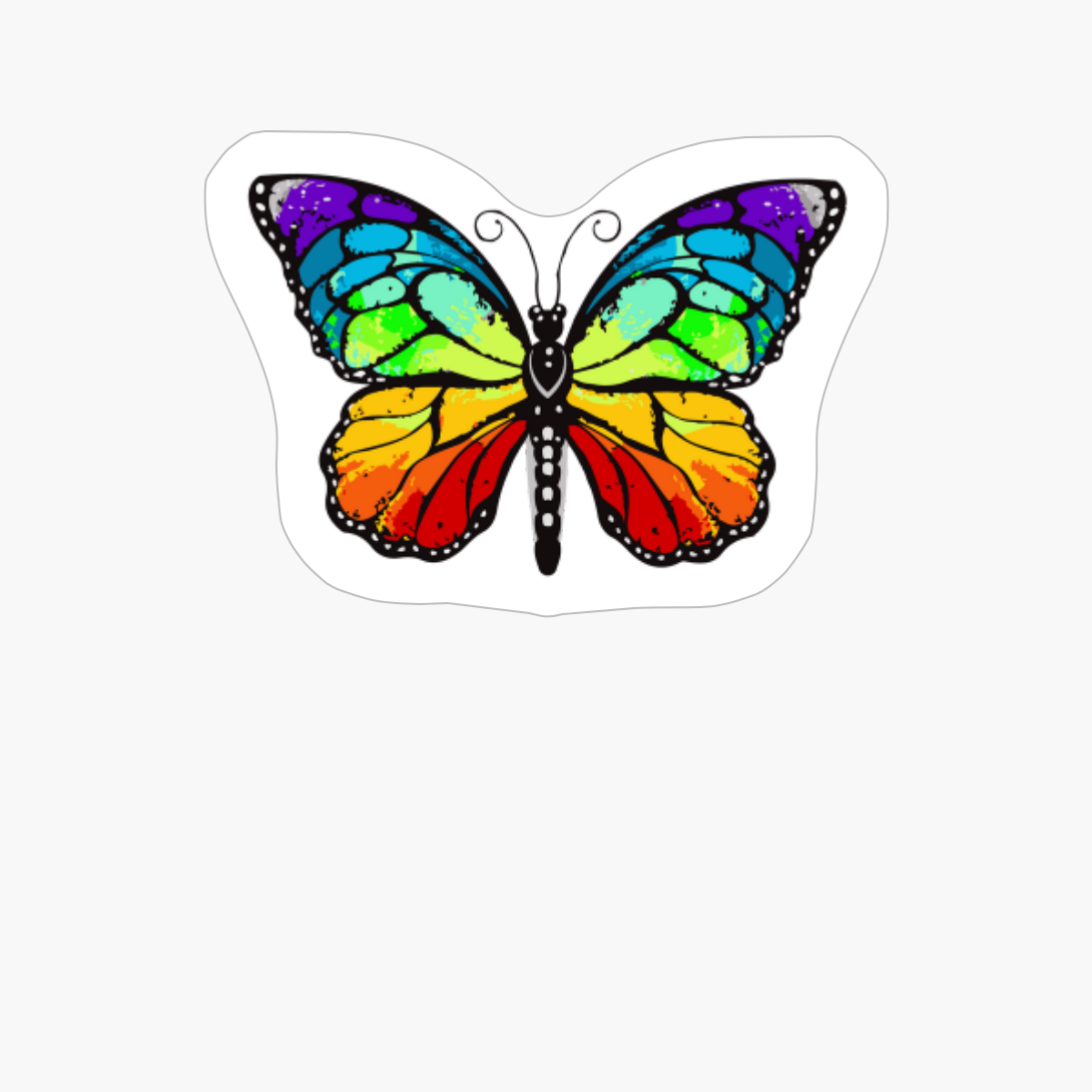 Colorful Butterfly - Cute Butterfly With Colors
