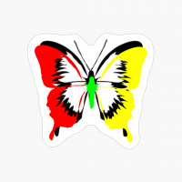 Beautiful Black And Multicolor Butterfly