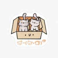 Box Kittens