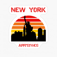 Liberty Statue Sunset New York Apprentice