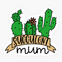 Cute Succulent Cactus Valentines Day Gift For Mom