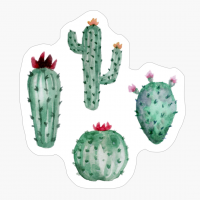 Cactuses Waterpaint Pack