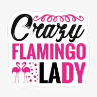 Crazy Flamingo Lady