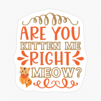 Are You Kitten Me Right M