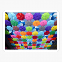 Yellow Blue Red Pink Purple Green Multicolored Open Umbrellas Hanging On Strings Under Blue Sky