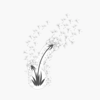 Magic Spiritual Dandelion - Mystic Windflower - Diente De León - Soffione