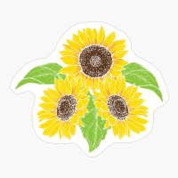 Sunflower Lover