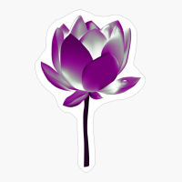Asexual Pride Blooming Lotus