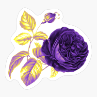 Nonbinary Pride Vintage Flower And Leaves