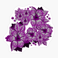 Asexual Pride Hibiscus Flowers And Droplets