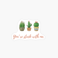 You’re Stuck With Me.