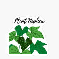 Plant Nephew