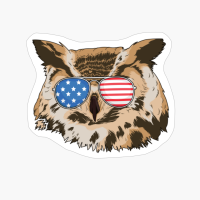 Owl 4th Of July American USA Patriotic Gift