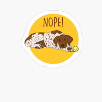 Nope! Lazy German Shorthaired Pointer Dog