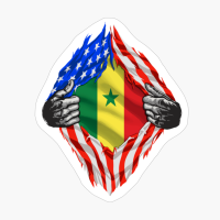 Super Senegalese Heritage Senegal Roots USA Flag Gift