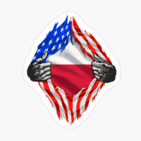 Super Polish Heritage Poland Roots USA Flag Gift