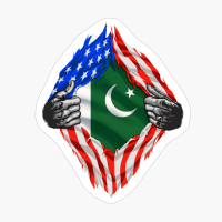 Super Pakistani Heritage Pakistan Roots USA Flag Gift