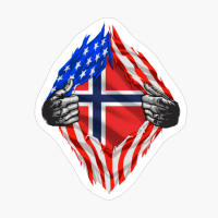 Super Norwegian Heritage Norway Roots USA Flag Gift