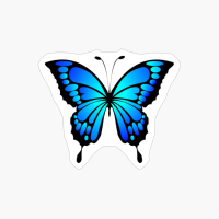Beautiful Vivid Butterfly