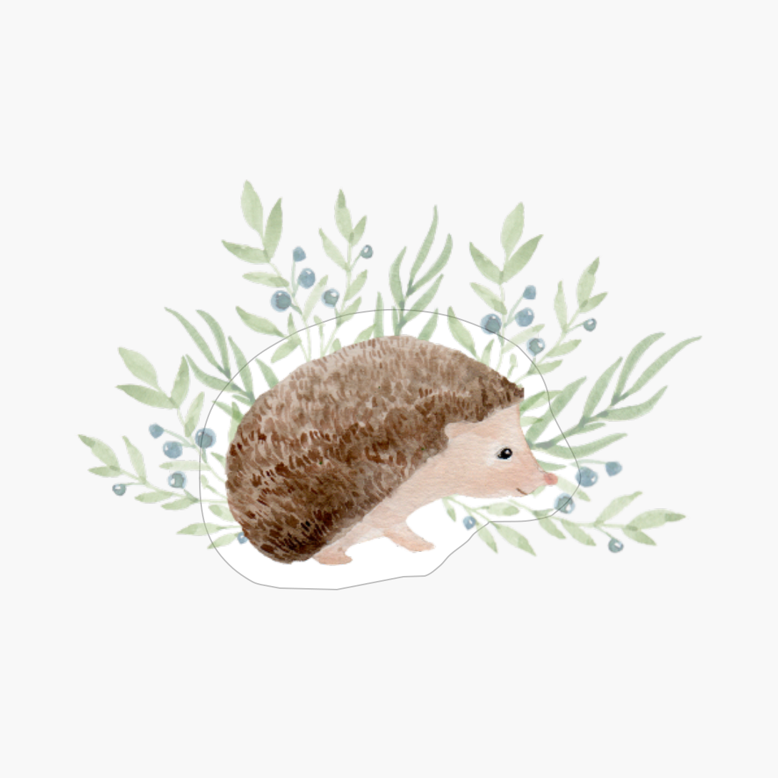 Cute Hedgehog With Grass