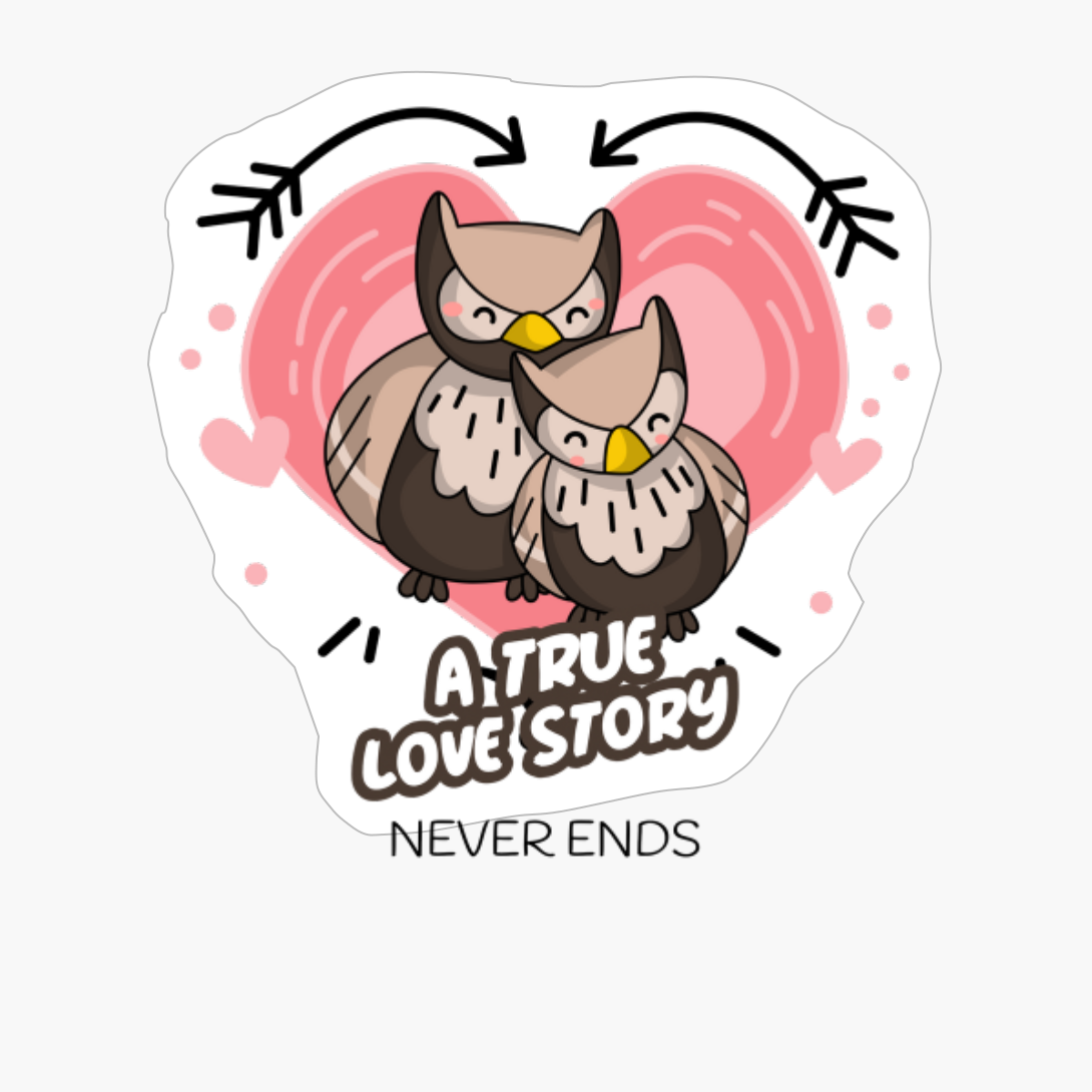 A True Love Story Never Ends Owl Design. Happy Valentine's Day.