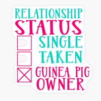 Guinea Pig Owner Relationship Status Gift