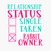 Rabbit Owner Relationship Status Gift